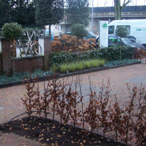 Aryuveda kliniek Rotterdam