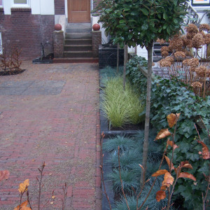 Aryuveda kliniek Rotterdam