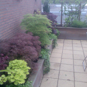 Mevrouw Brand