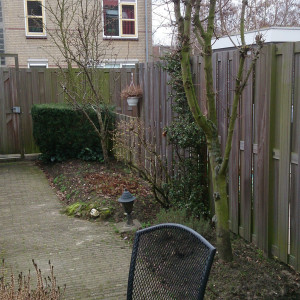 Familie Bax