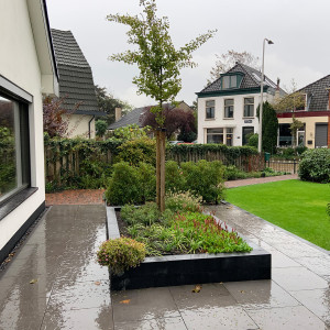 Familie vd Hoeven