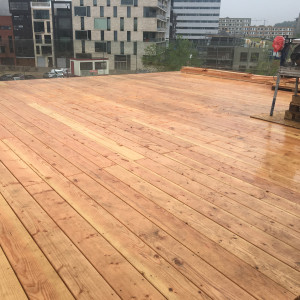Project Amsterdam