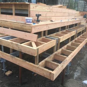 Project Amsterdam