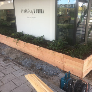 Project Amsterdam