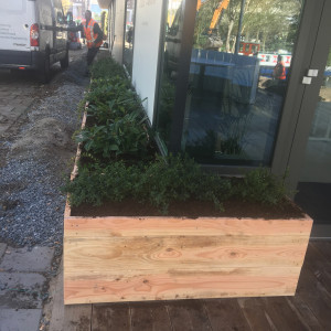 Project Amsterdam