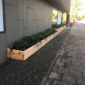 Project Amsterdam