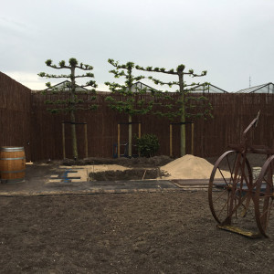 Project Honselersdijk