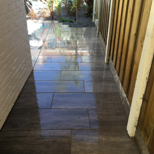 Renovatie achtertuin Monster