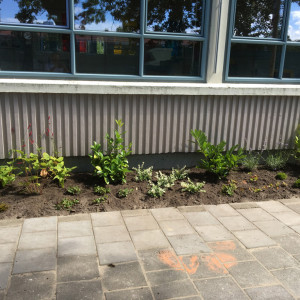 Speelplein 2Samen