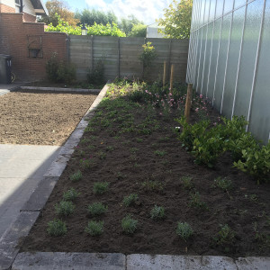 Tuin Honselersdijk
