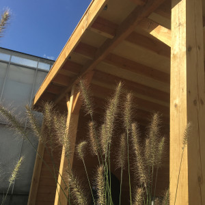 Tuin Honselersdijk