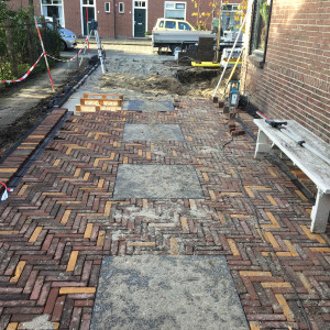 Tuin Maassluis