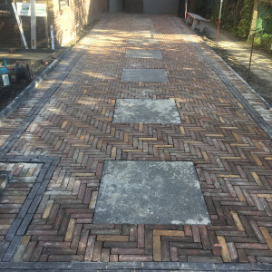 Tuin Maassluis