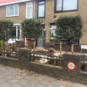 Tuin Maassluis