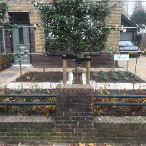 Tuin Maassluis