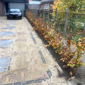 Tuin Maassluis