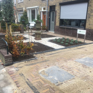 Tuin Maassluis